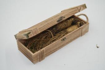 人参怎么储存干参,鲜人参收到货如何保存