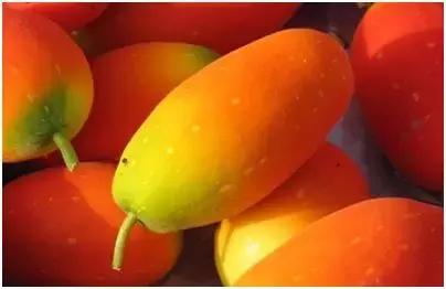 贫困户致富创业项目有哪些,快速致富项目