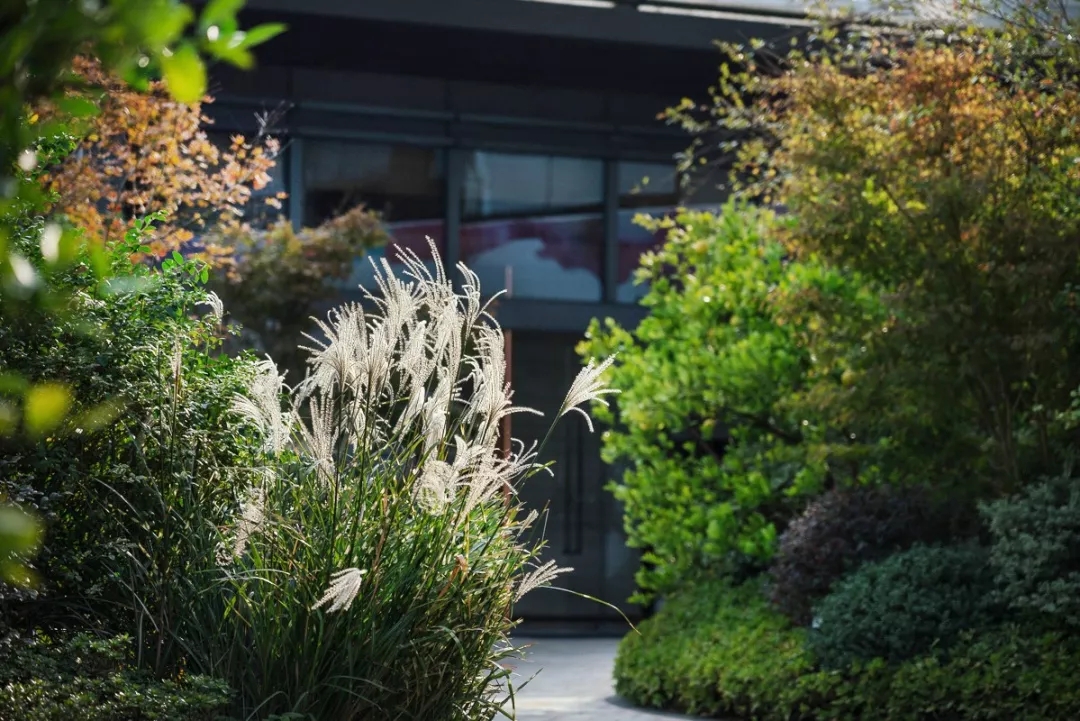 「泛亚出品」面向天空谋划未来TOD上盖的秘境花园