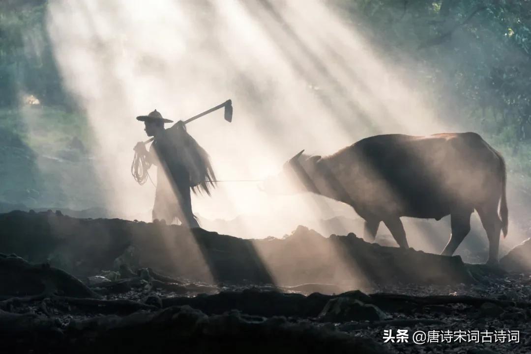 老翁七十犹强健,没膝春泥夜叱牛