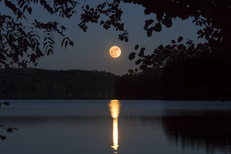 怎么融化一座冰山,如何攻略冰山男主