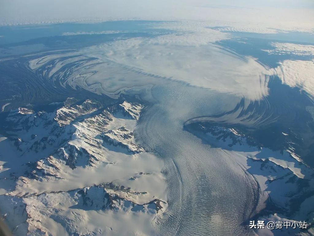 最便宜阿拉斯加多少钱,最便宜又大的阿拉斯加