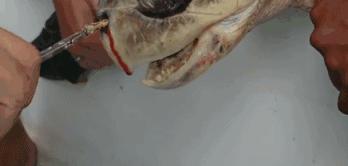 给明星做造型的“垃圾”行为艺术家?雷人背后的那一份深刻……