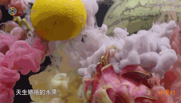 天然去雕饰的《水果传》，给你一场抵挡不住的水果饕餮