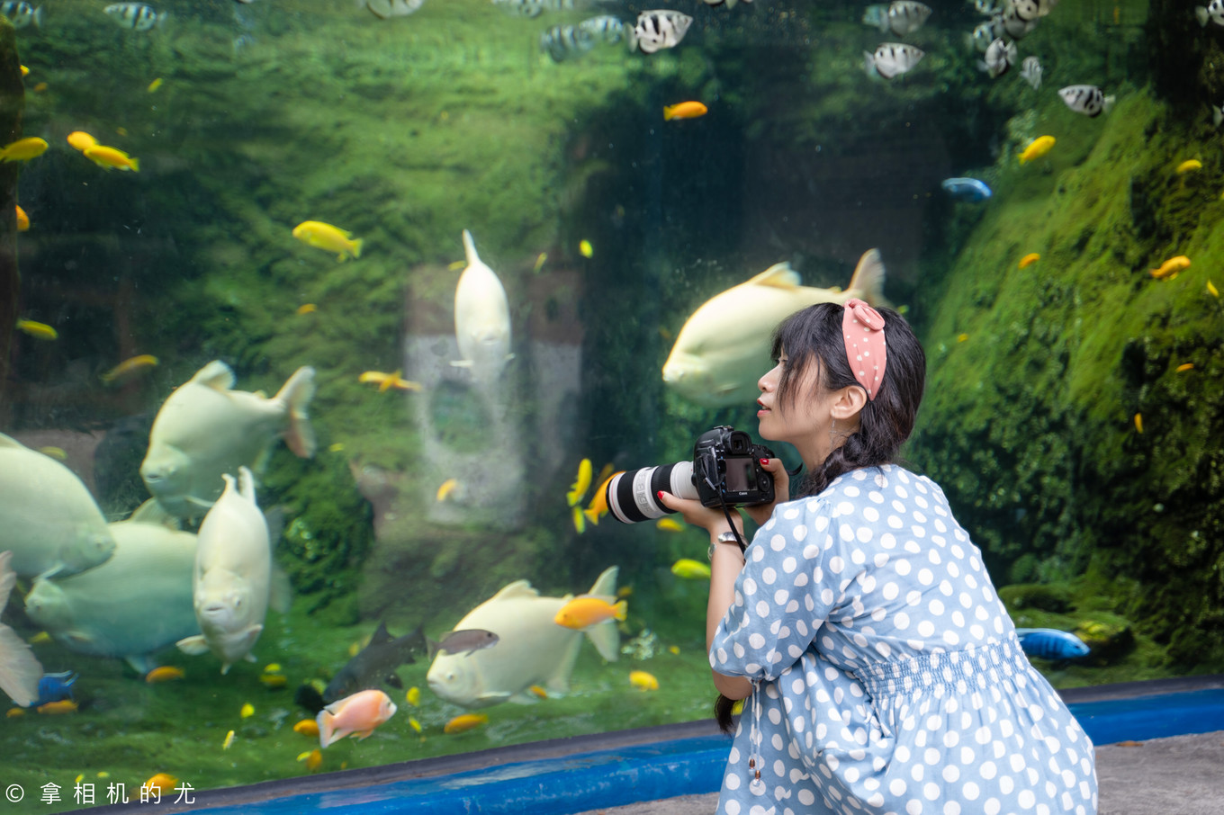 珠海横琴长隆海洋王国游玩全攻略,珠海长隆海洋王国跟香港海洋公园