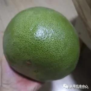 在网上买水果遇到假货怎么办,网上购买水果会被坑吗