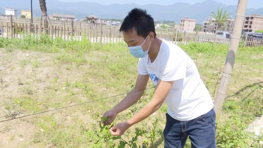 长泰发展最新消息,长泰经济快速发展