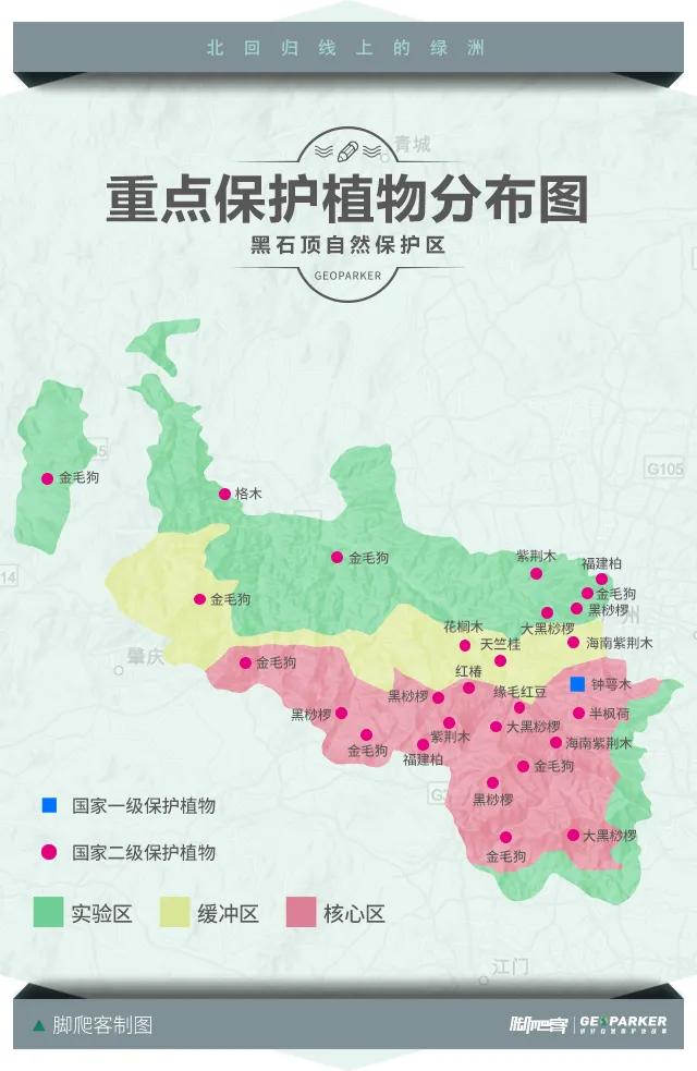 封开县黑石顶原始森林保护区,广东封开黑石顶北回归线上的绿洲