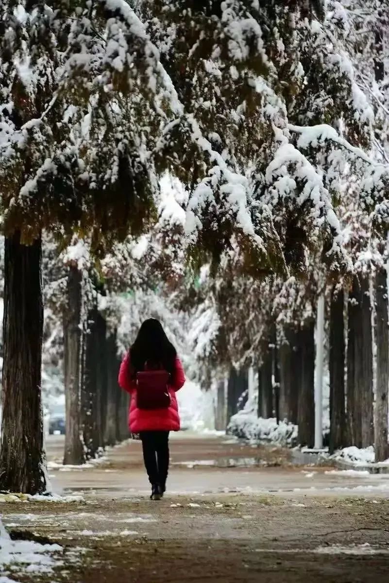 徐州生物工程职业学院2024年单招,徐州生物工程职业技术学院升本科