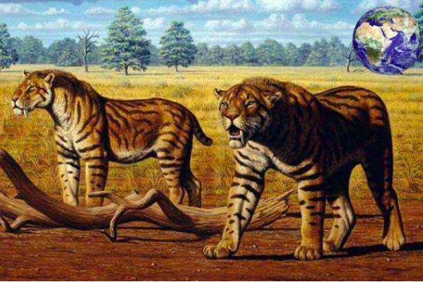 地球会出现更厉害的物种吗,地球上前几次人类是怎样灭绝的