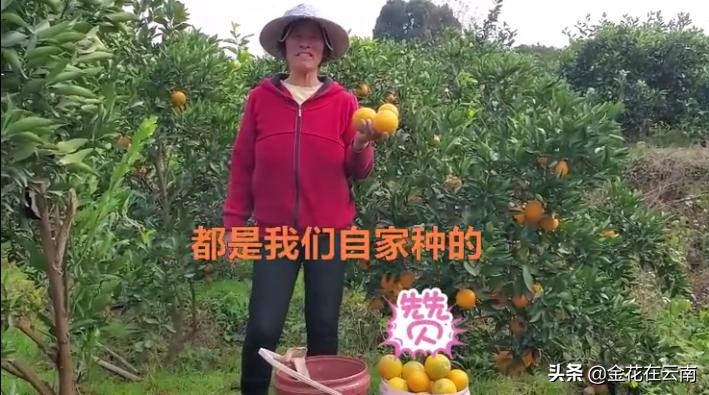 临近年关吃东西容易上火,就让这款小甜橙拯救一下