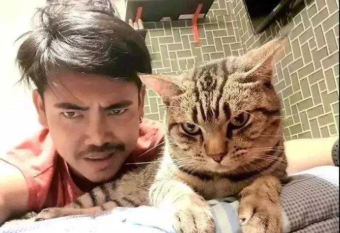 养了好多年的猫突然怕我,养了五年的猫很想把它扔了