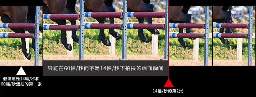 体育摄影师的尼康d6实拍体验,尼康d6拍体育