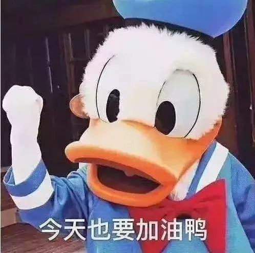 上海优居客最新进展,优居客倒闭引发的思考