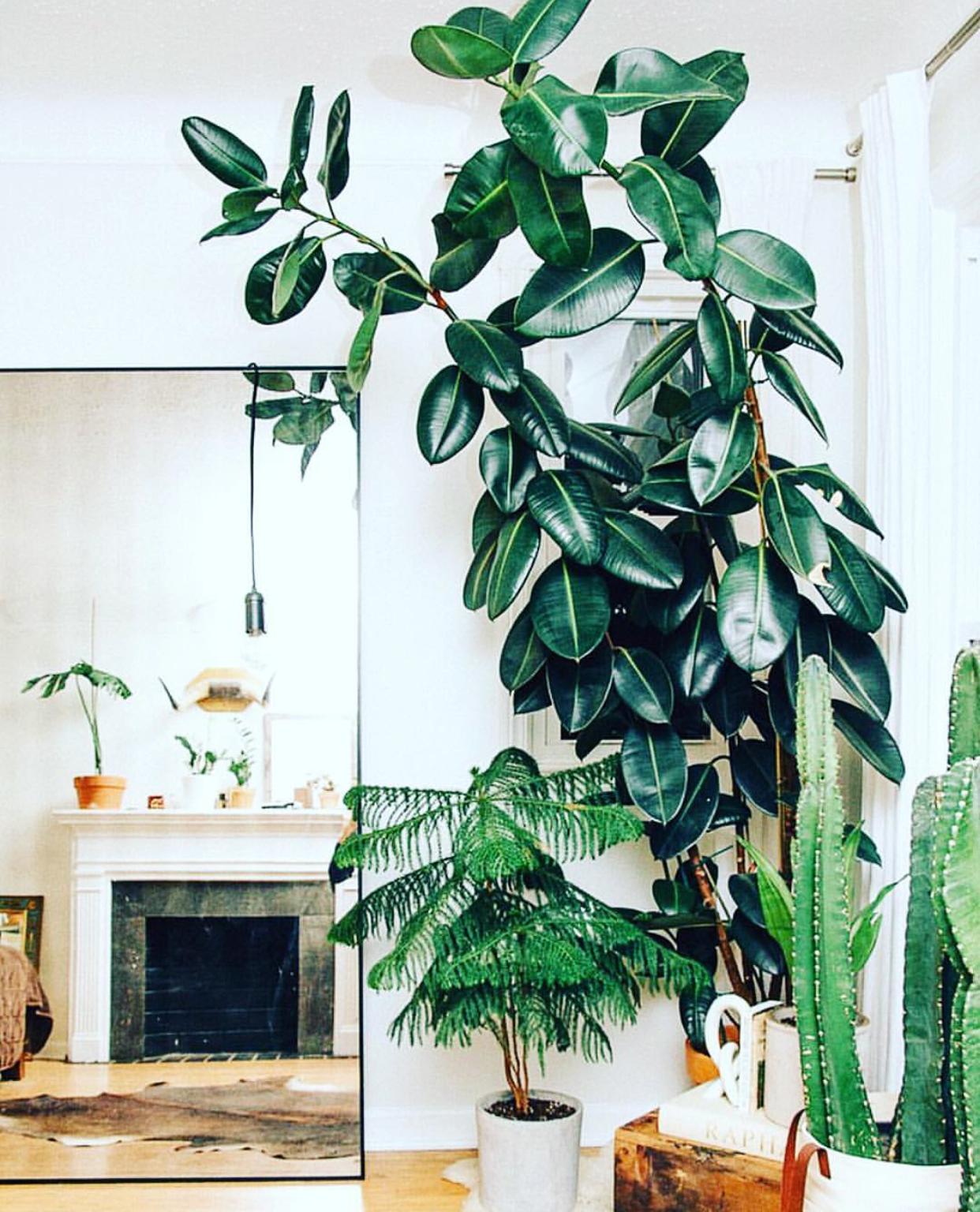 韩雪明星推荐好物,韩雪好物