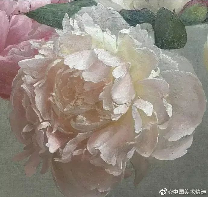 飞机杯被奶奶用来当袜子，这也太惨了吧