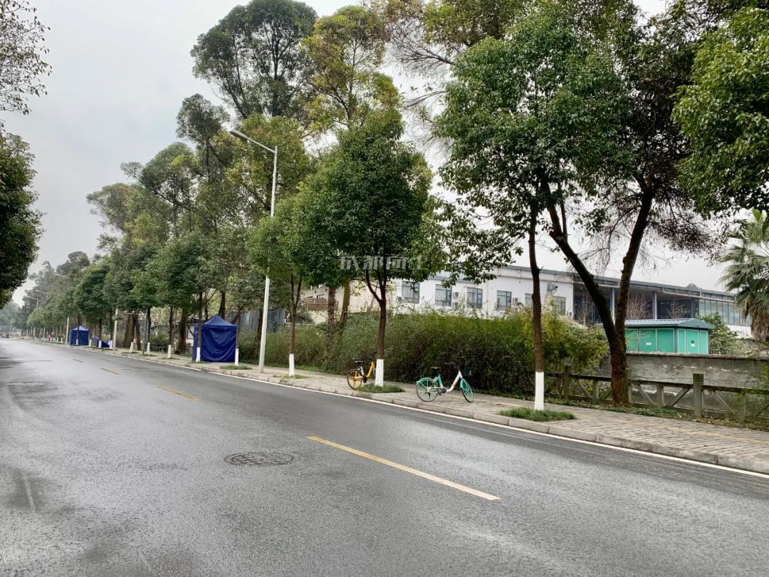 成都绿道风景美如画,成都周边哪条河边绿道最美