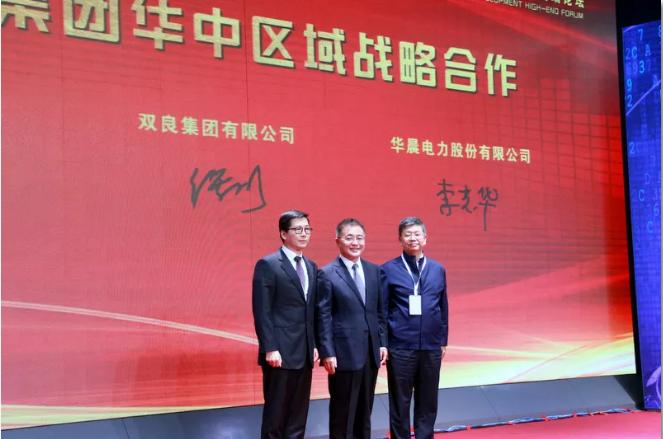 双良集团观摩,双良集团发展历程