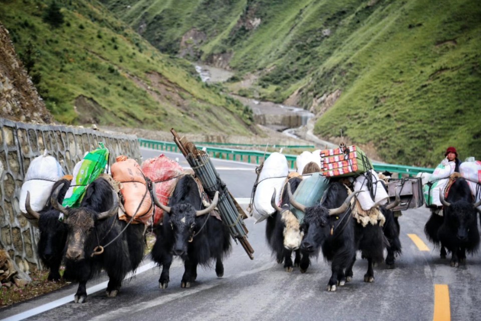 稻城亚丁几月份去最好呢,稻城亚丁几月份去最好海拔多高