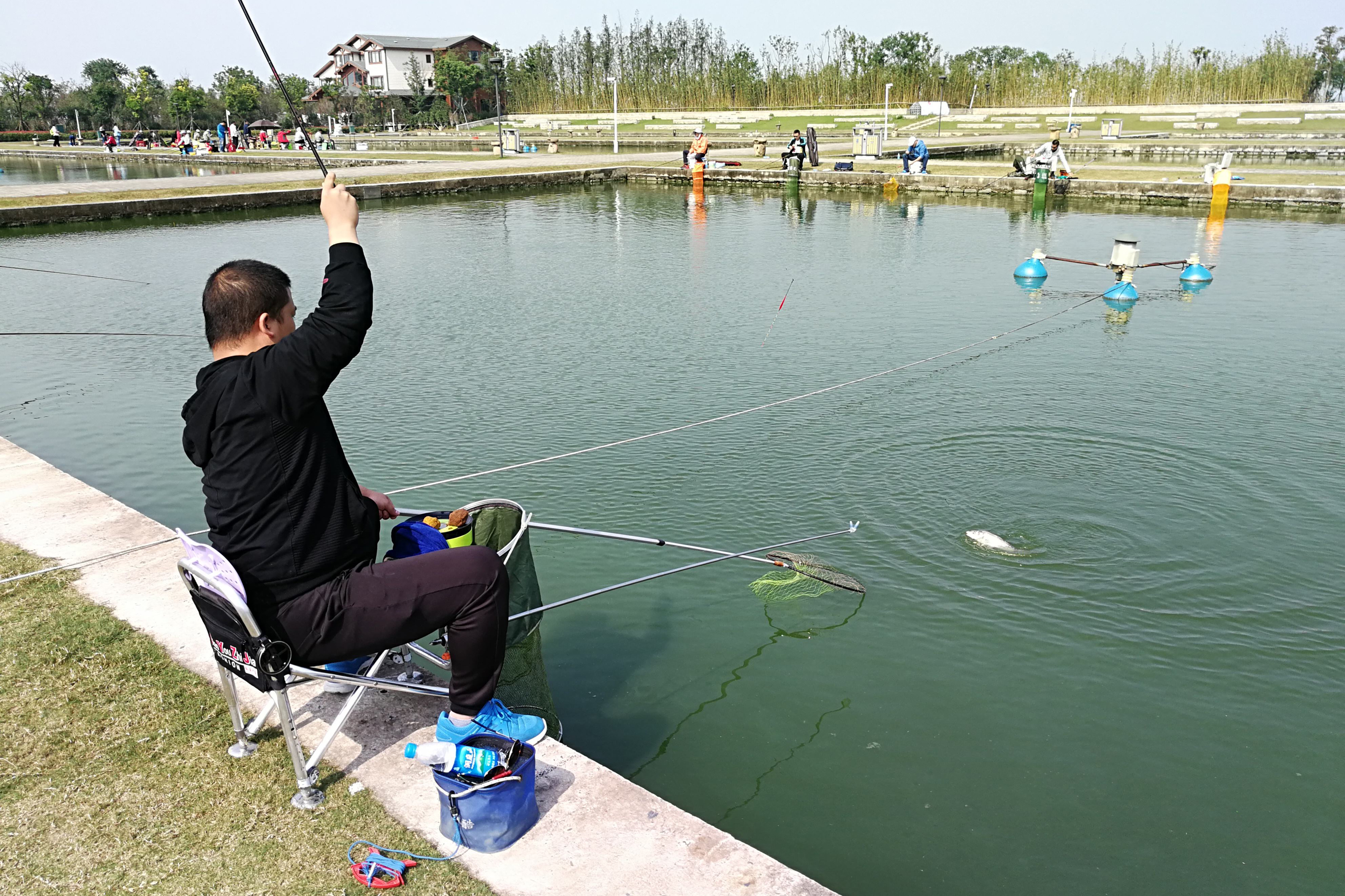 钓鱼小药蛋奶的作用,钓鱼小药布丁作用