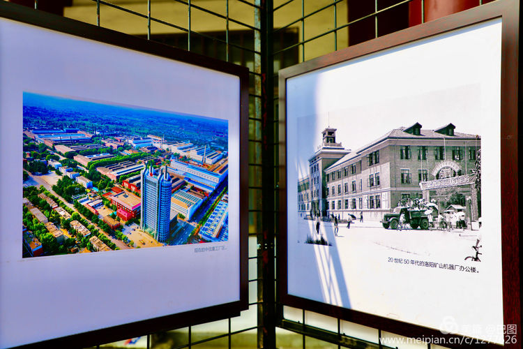 看洛阳牡丹花卉节,洛阳古都牡丹花展