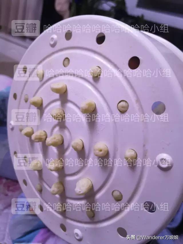 多亏这些宝藏网友，让我笑到免疫力增强