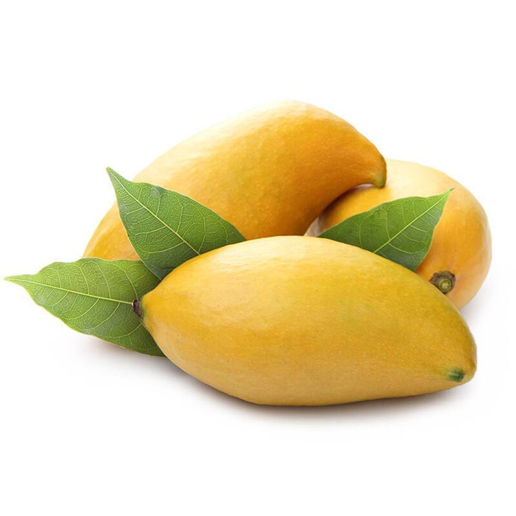 小台芒最低价一斤多少元 (鹰嘴芒多少钱一斤市场价)