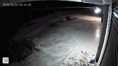 潮汕大地震简介,历史上潮汕地区8级地震