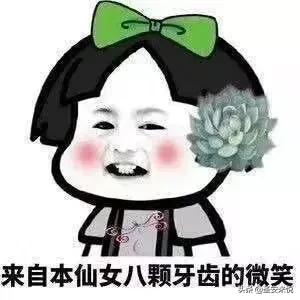 彩虹合唱团春节自救指南完整版,2018春节自救指南