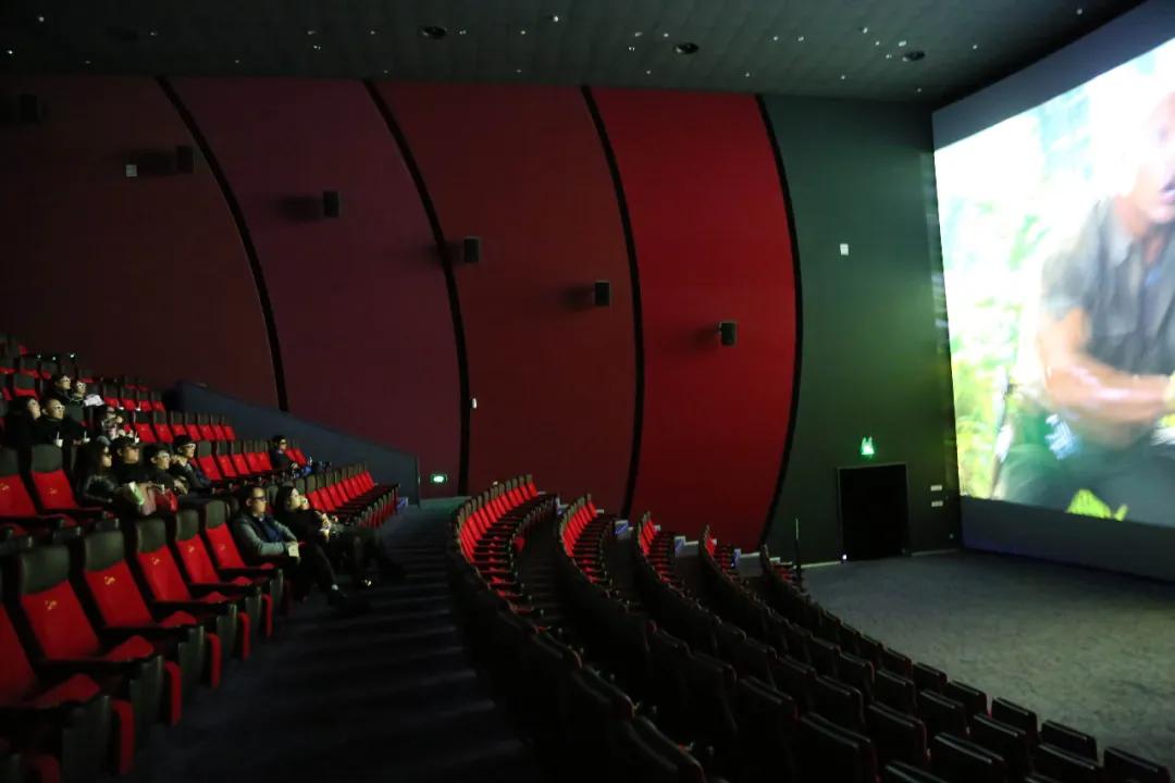 流媒体入侵电影,流媒体市场