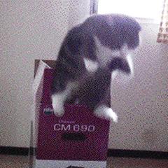 微信里隐藏的翻译黑科技，好用得怀疑人生，不会用好可惜呢