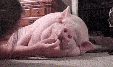 镭让女孩尸骨千年荧光不灭,镭女郎尸骨