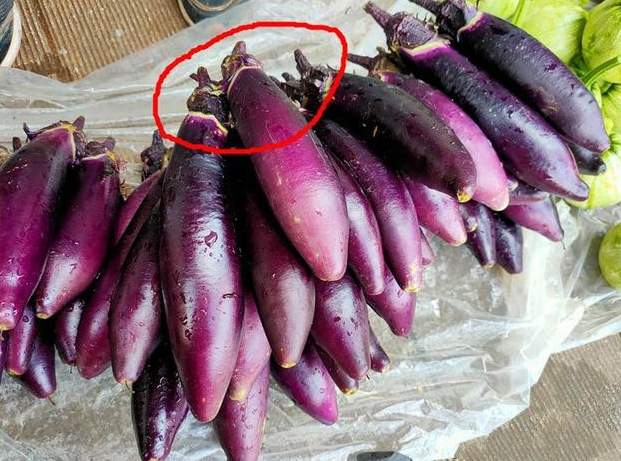 怎么才能让茄子做得又香还长 (茄子怎么挑又嫩又好吃的青皮茄子)