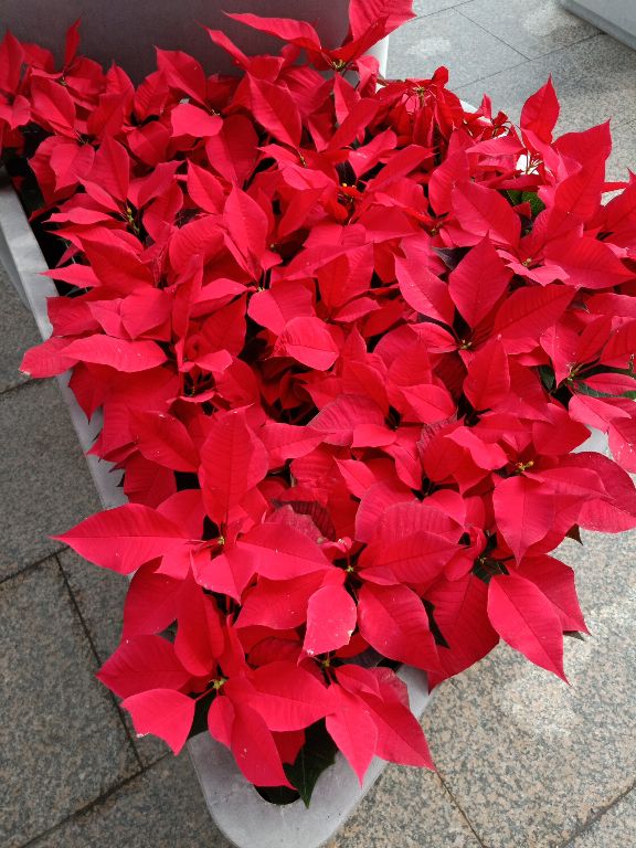 几百人参加考试，年龄最大的达侠考科目一是怎么一次性通过的？