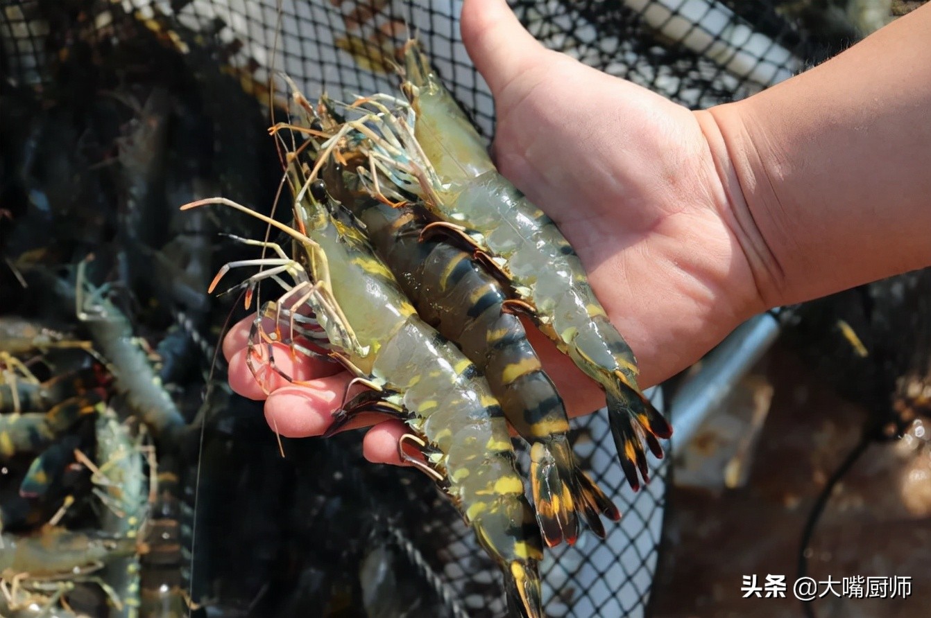 明虾和罗氏虾哪个口感好,明虾罗氏虾基围虾哪个好吃