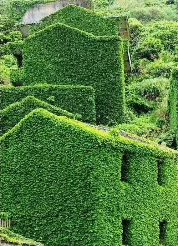 别去*藏西**了！从阜阳坐飞机不到200块，就能到这个海岛浪一圈