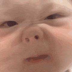 考研英语哪个机构网课比较好,考研英语预测卷做谁的比较好