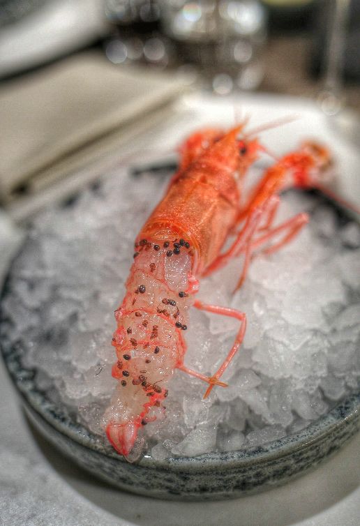 世界第一餐厅NOMA:“有什么吃什么”的能耐和“改变世界”的勇气