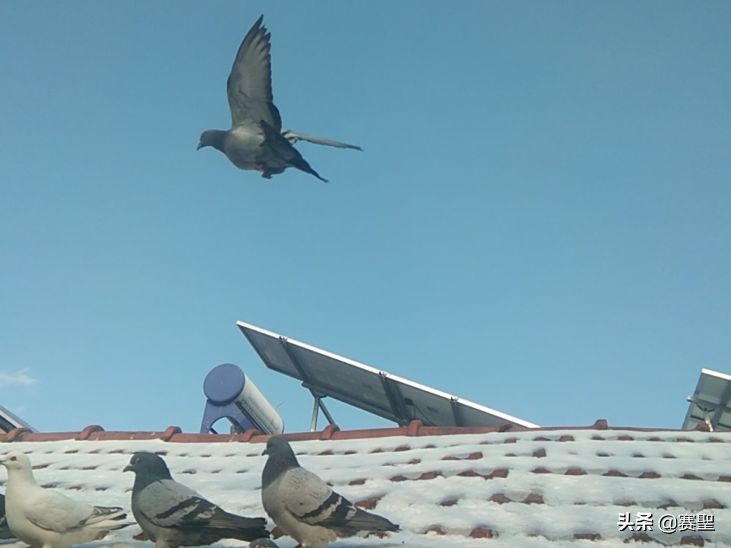 克拉克詹森简介,詹森克拉克