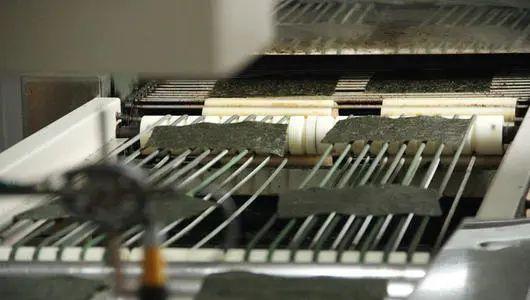 紫菜和海苔区别图解,海苔就是紫菜炒一下吗