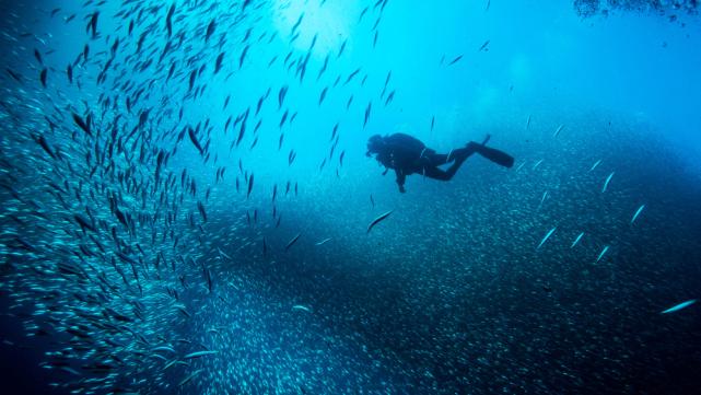 泰国四大潜水梦幻海岛,潜水游玩爱好者普吉岛
