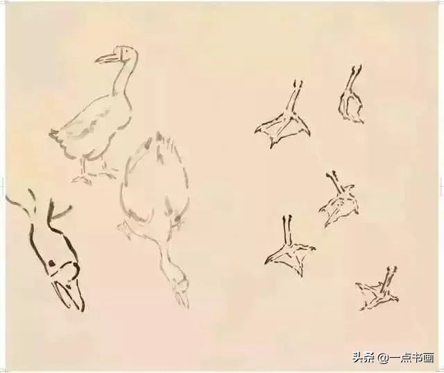 图文教程鹅的写意画法,鹅的简单画法教程