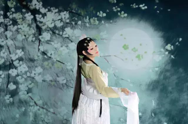 苏东坡但愿人长久千里共婵娟朗读,苏东坡但愿人长久千里共婵娟图片