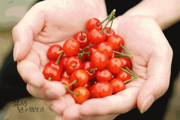*疆新**瓜果攻略最好的季节配最美味的水果