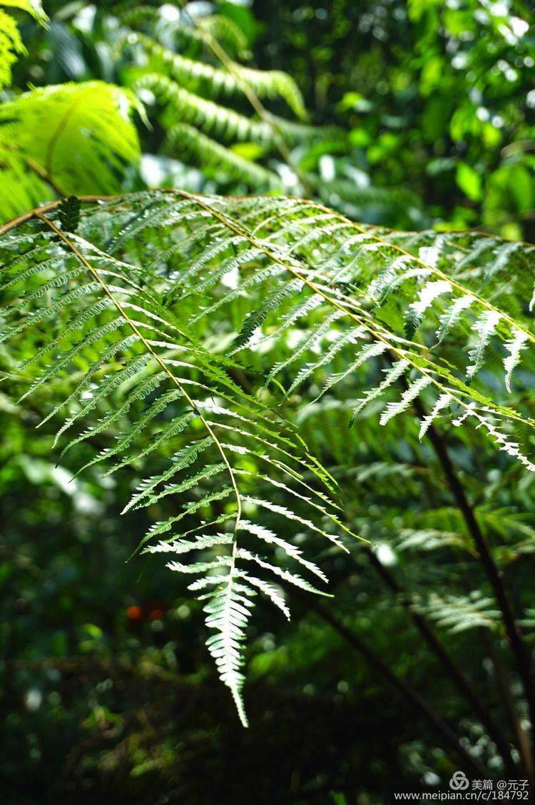 难忘贵州歌曲筒谱,难忘贵州歌曲