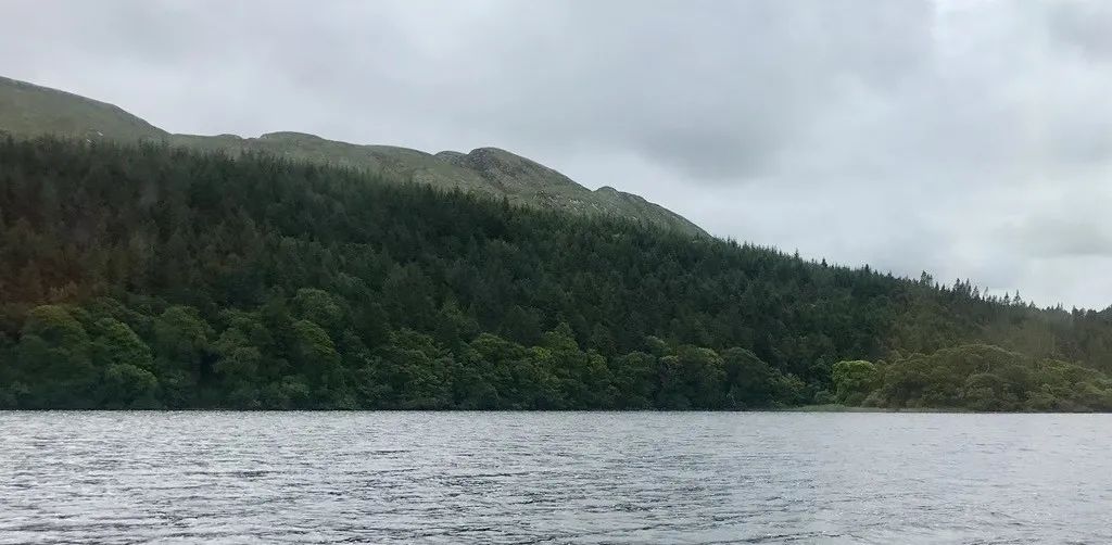 飞鸟越过珊瑚海,飞鸟越过山林
