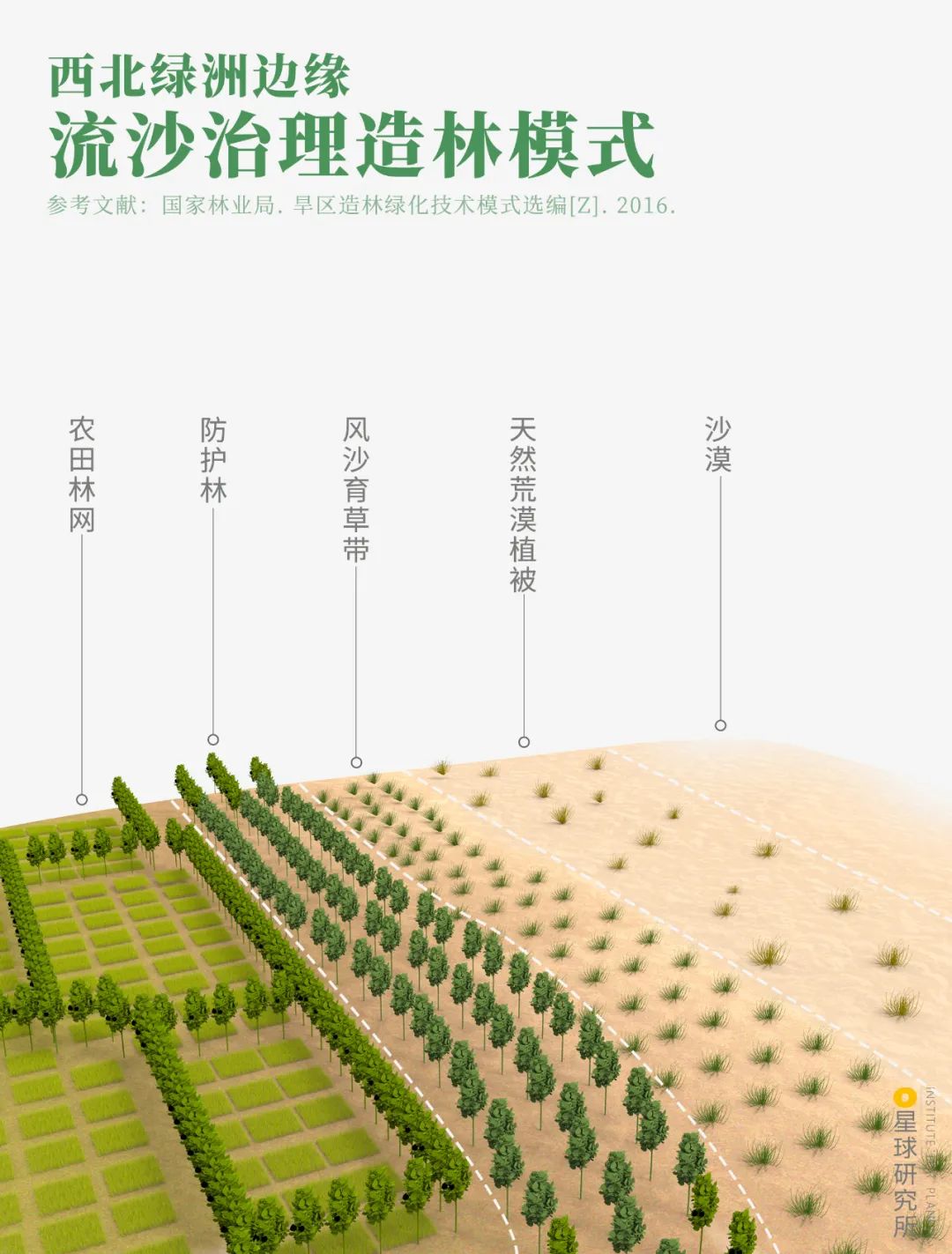 中国植树造林成果国外有什么看法,植树造林改造沙漠