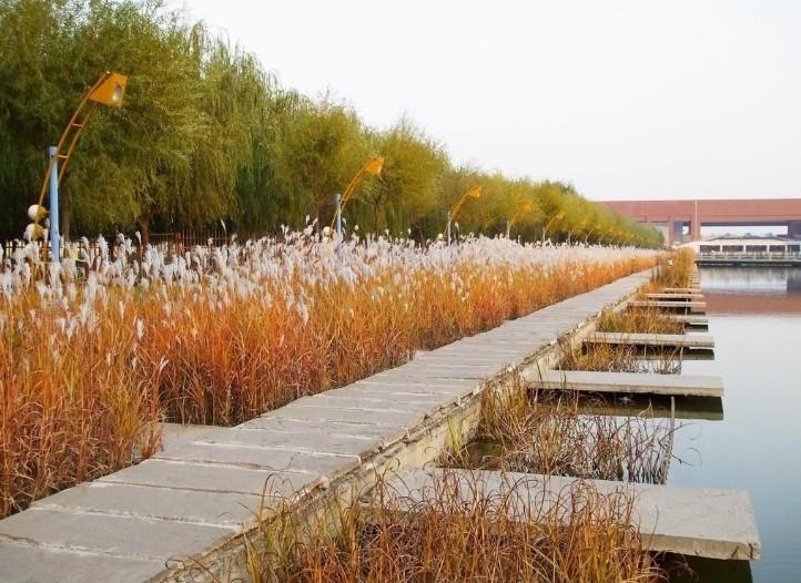 成绩一般的学生都能考上211的大学,中等学生报考比较不错的几所大学