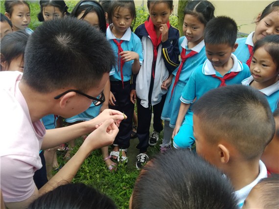 喜欢昆虫的孩子应该怎么培养,小时候喜欢昆虫长大了却不喜欢了