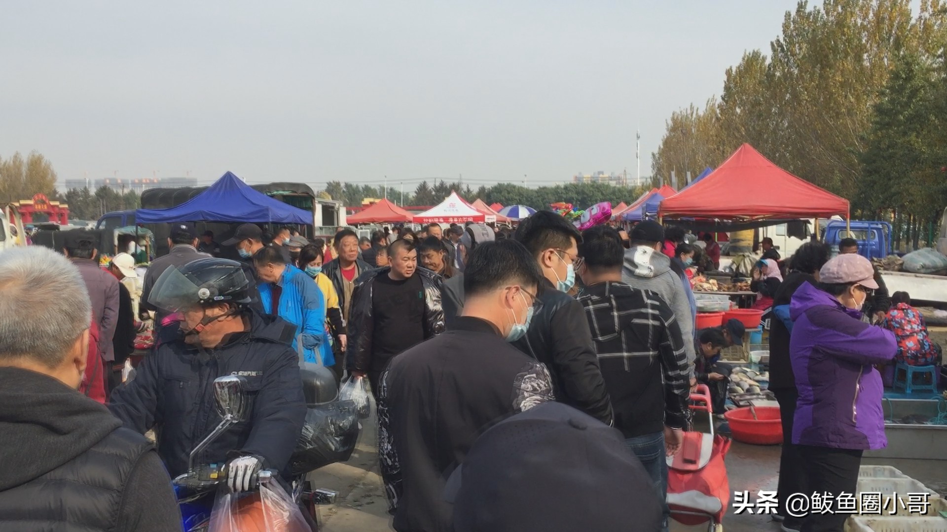 年前的红旗大集,红旗大集的历史